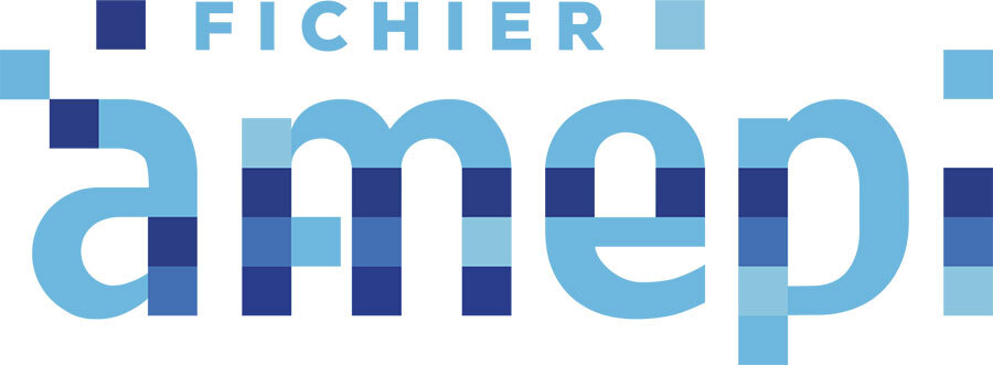 Logo AMEPI new